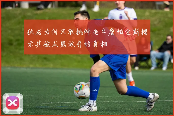 狄龙为何只敢挑衅老年詹帕金斯揭示其被灰熊放弃的真相